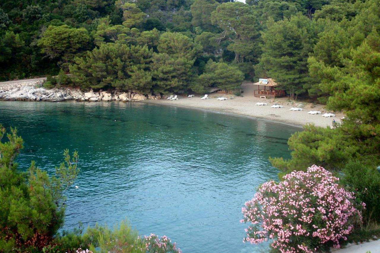 Apartments By The Sea Cove Blaca, Mljet - 4899 ซาปลูนารา ภายนอก รูปภาพ